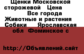 Щенки Московской сторожевой › Цена ­ 35 000 - Все города Животные и растения » Собаки   . Ярославская обл.,Фоминское с.